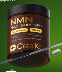 Presencia Vital - Fuente de Energía Celular - NMN + Resveratrol + Quercetina + TMG